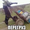 Getimage 20 8 