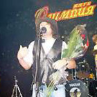 Preview image006