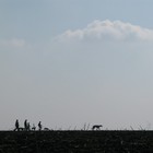 Preview img2302