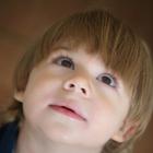 Preview img0894