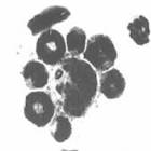 Preview image008
