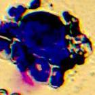 Preview image014