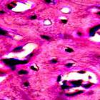Preview image015