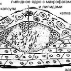 Preview image001