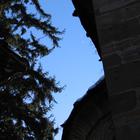 Preview img1199