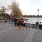 Preview img7807