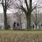 Preview img8251