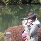Preview dsc01524