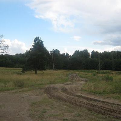 Main image001