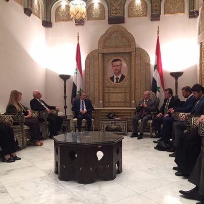 Main photo255213438290209551