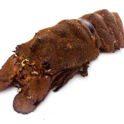 Main morskaya cikada2