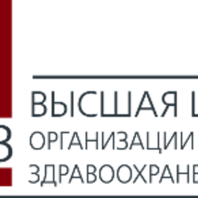 Main vshouz vshouz logo2  png
