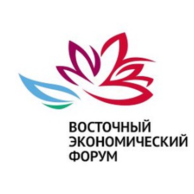 Main vos1