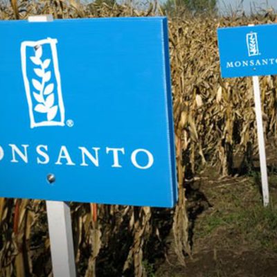 Main monsanto crops sign