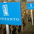 Press center monsanto crops sign