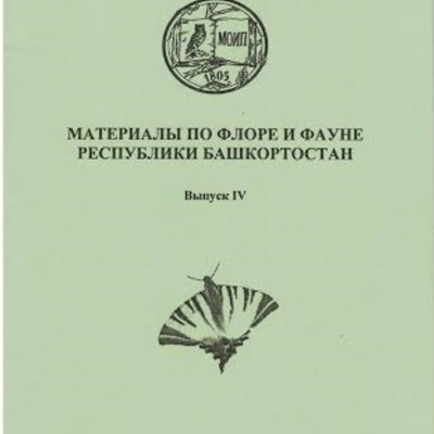 Main o1