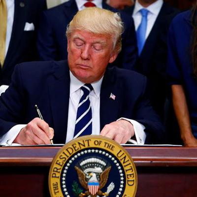 Main trump7 vs