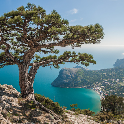 Main %d0%a2%d1%83%d1%80%d1%8b %d0%b2 %d0%9a%d1%80%d1%8b%d0%bc 8