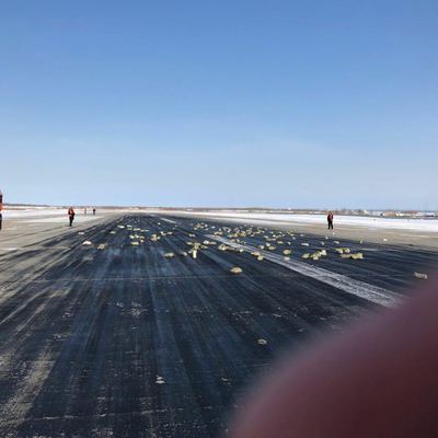 Main c4ffe043 4946 44fa 95db 22b45ba14628