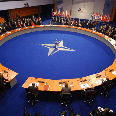 Main nato parliamentary assembly 310315