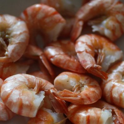 Main 042b0f6c bcf8 481b 8d58 565e6a08d3c1