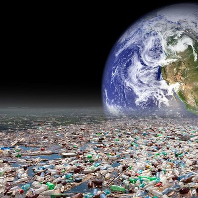 Main uchyonye sozdali ferment kotoryi razlagaet plastik