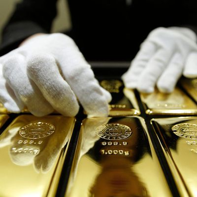 Main 5056f084 fe50 4544 8006 1f78a1b48319