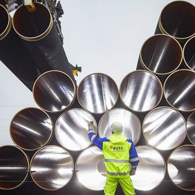 Main 787ceefc2a3dbafbeed98f28f1a3186f 730x485