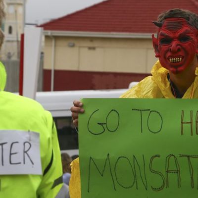 Main images1.persgroep.net