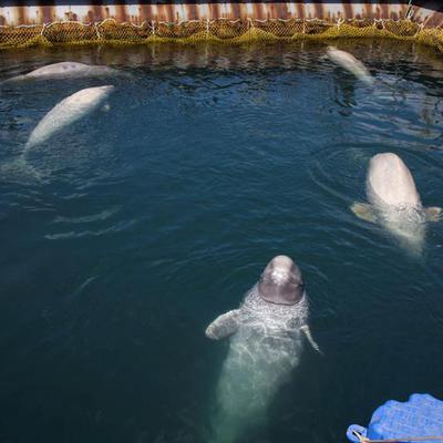 Main 6e1a339e e9ac 465e 8367 e710f52d2937