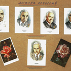 Preview preview13230