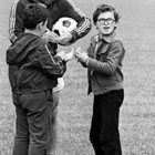 Preview pload8pic3700x46712651