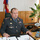 Connect sisoev